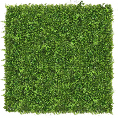 Green Wall Passiflora 40x60 [2]