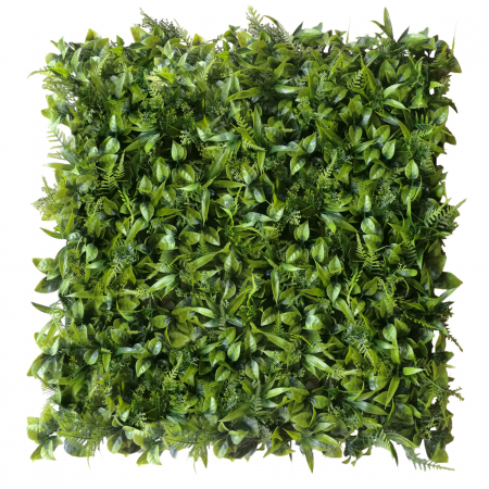 Produse - Green Wall Peperomia 50x50