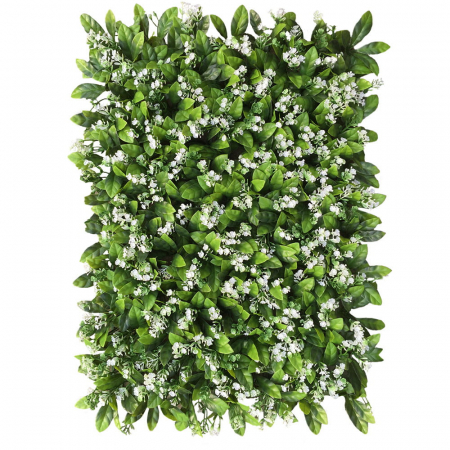Produse - Green Wall Rukiew 40x60