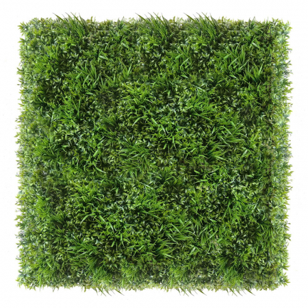 Green Wall Ruskus 40x60 [2]