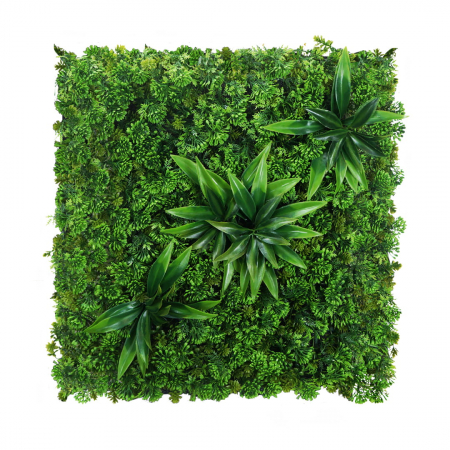 Produse - Green Wall Sukulent 50x50cm