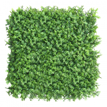 Panouri pe covoras Premium - Green Wall Tuja 50x50
