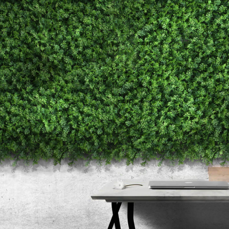 Green Wall Tuja 50x50 [2]