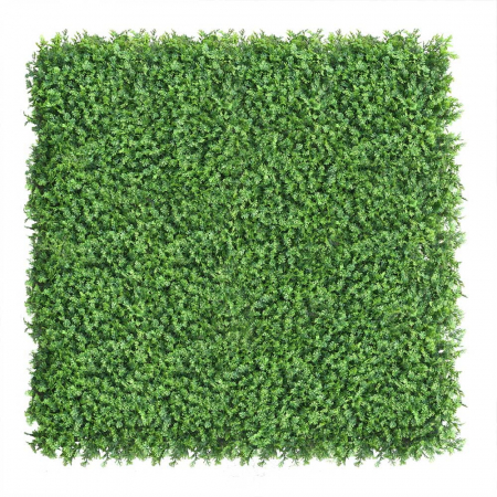 Green Wall Tuja 50x50 [1]