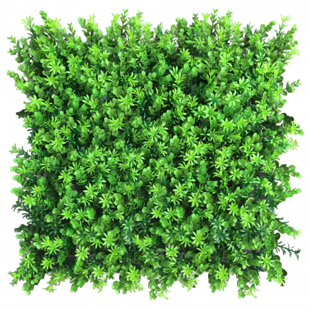 Panouri pe covoras Premium - Green Wall Wartolka 50x50