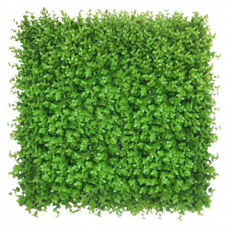 Panouri pe covoras Premium - Green Wall Wielomlecz  50x50