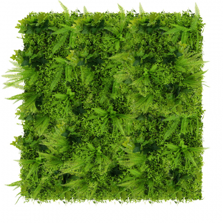 Produse - Green Wall Winobluszcz 50x50cm