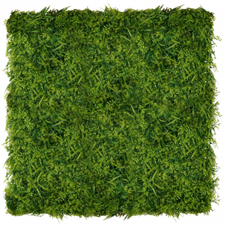 Green Wall Wronog 50x50 [4]