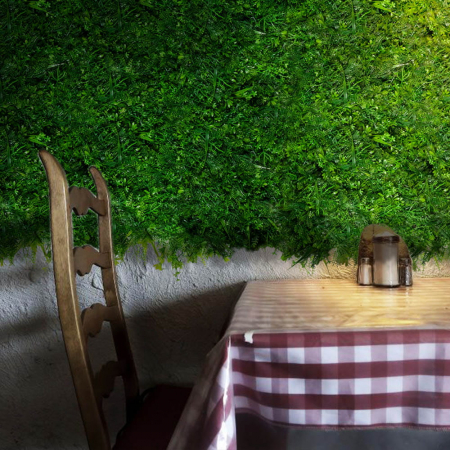 Green Wall Wronog 50x50 [6]