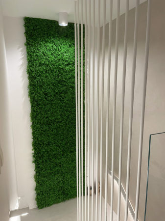 Green Wall Wronog 50x50 [9]