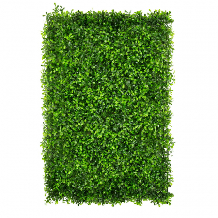 Produse - Green Wall Zielony Dziurawiec 40x60