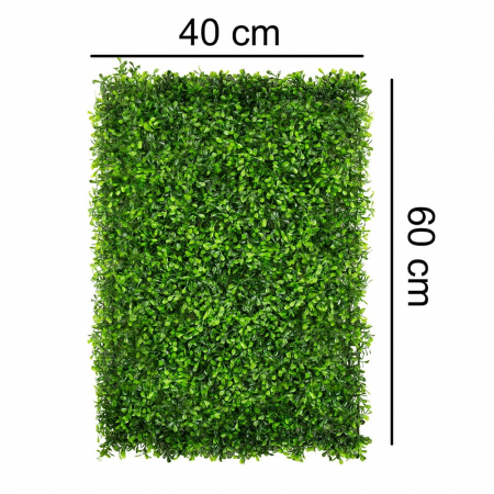 Green Wall Zielony Dziurawiec 40x60 [2]