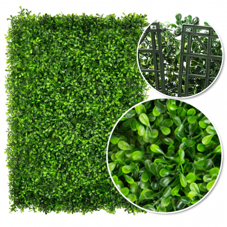 Green Wall Zielony Dziurawiec 40x60 [1]
