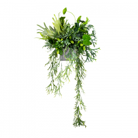 Plante pentru jardiniere - Inserție pentru ghiveci Goldfinch