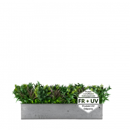 Plante pentru jardiniere - Inserție pentru ghiveci Passerine FR UV