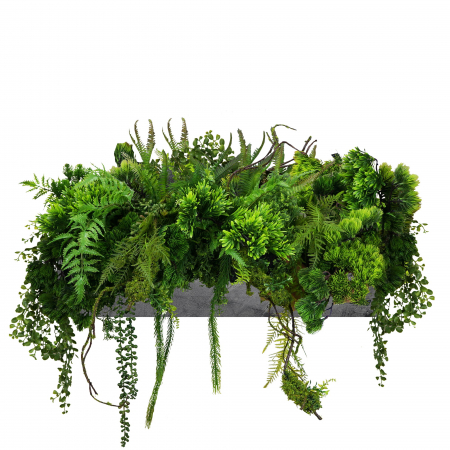 Plante pentru jardiniere - Inserție pentru ghiveci Quiet Oasis