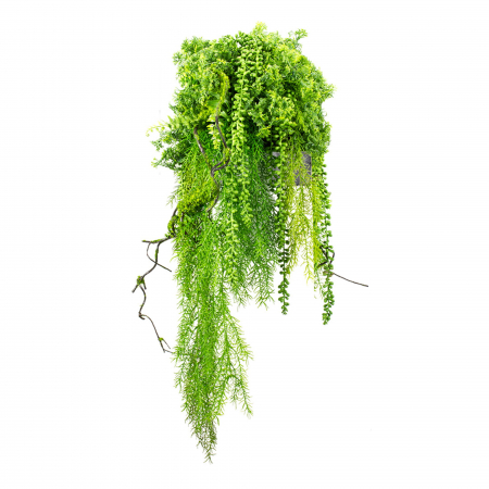 Plante pentru jardiniere - Inserție pentru ghiveci Redrobin