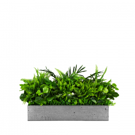Plante pentru jardiniere - Inserție pentru ghiveci White Sparrow