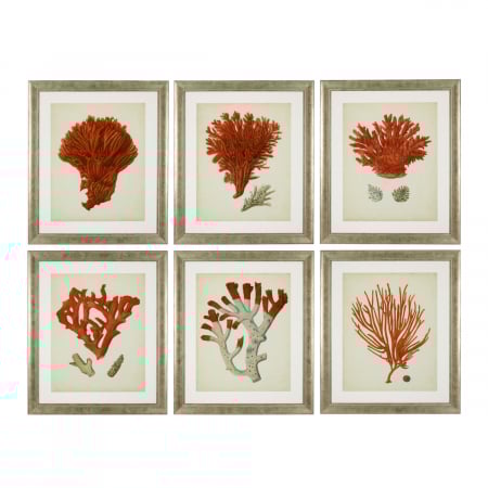 Promotii -   Set de 6 tablouri cu corali roșii antici 111741 EICHHOLTZ