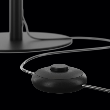 Lampadar Rază, Metal Negru, 18W, MAYTONI Z012FL-L18B3K [8]