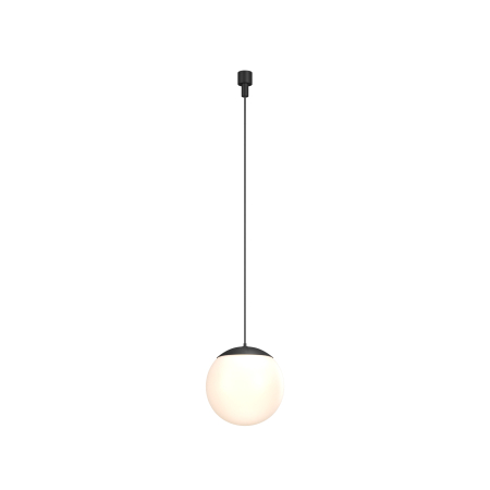 Promotii - Luminaire Lună Negru Aluminiu și plastic 10W MAYTONI C156PL-10W3K-B