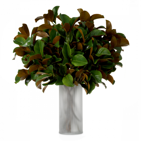 Plante decorative -   Mănunchi de frunze de magnolie 24 bucăți 119289 EICHHOLTZ