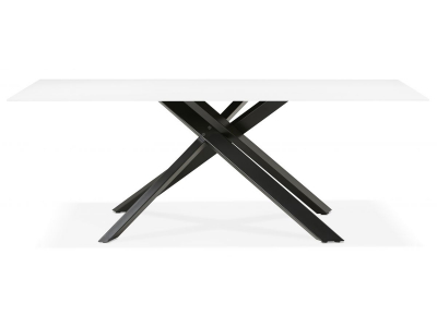 Masa design living Layton 200x100 cm, blat alb sticla, picioare negre metal, DT01180WHBL - Kokoon [7]