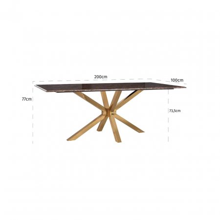 Masa dining lux Randi 200x100 cm baza aurie otel, blat imitatie marmura maro, 9453 - Richmond Interiors [4]