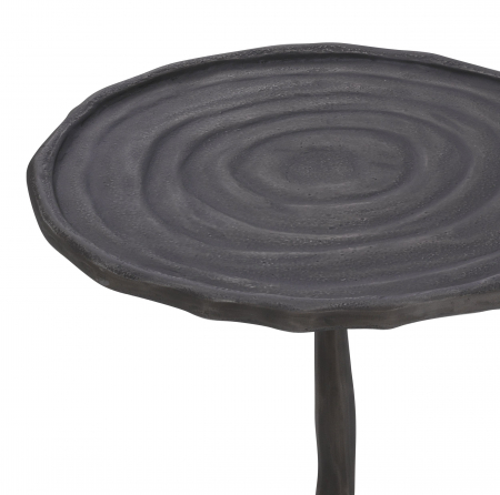   Masuta laterala Kubu S finisaj bronz 114886 EICHHOLTZ [4]