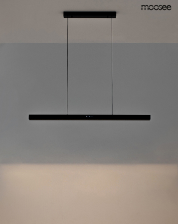 Pendul Liner 113,5x6x175 cm, Oțel și Acril Negru - Moosee [8]
