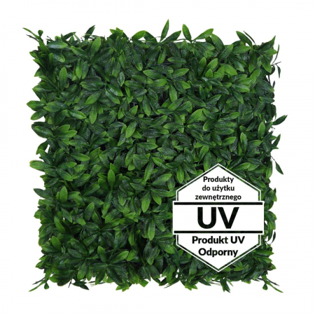 Produse - Perete verde artificial Laurowisnia UV 50x50cm