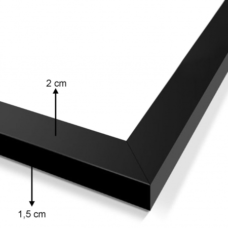 Pictură decorativă înrămată (2 piese) SET_032 [2]