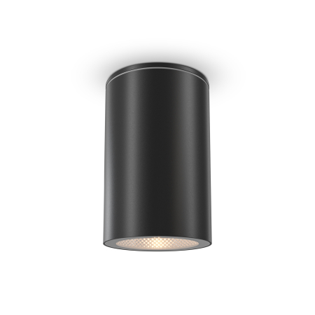 Promotii - Plafonieră de exterior Roll, Aluminiu, plastic, sticlă Negru, 50W, MAYTONI O307CL-01B
