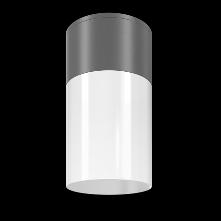 Plafonieră de exterior Willis, Aluminiu și plastic Grafit, 60W, MAYTONI O418CL-01GR [2]