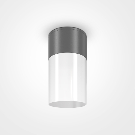 Produse - Plafonieră de exterior Willis, Aluminiu și plastic Grafit, 60W, MAYTONI O418CL-01GR