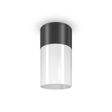 Plafonieră de exterior Willis, Aluminiu și plastic Negru, 60W, MAYTONI O418CL-01B [6]