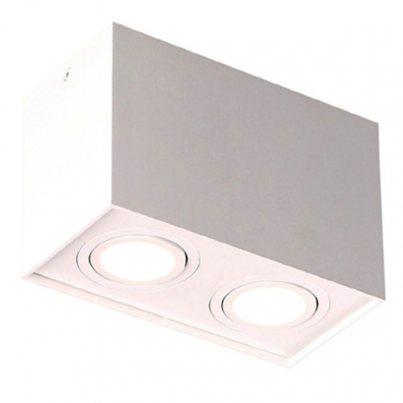 Spoturi si becuri - Spot dreptunghiular alb 2 surse de lumina ajustabile Rafi 19,5x9,5x12,5 cm din metal, C0088 - Maxlight