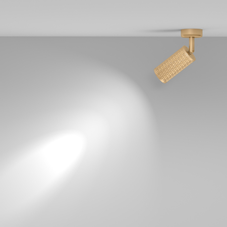 Plafonieră Focus Design, Aluminiu Auriu mat, 10W, MAYTONI C034CL-01G [7]