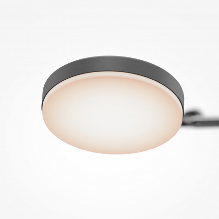 Plafoniera FAD Negru 3000k MOD070CL-L15B3K1 Maytoni Modern [2]