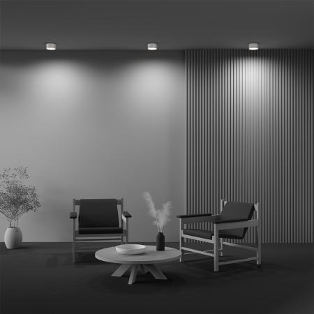 Plafonieră Zon, Aluminiu Alb, 12W, MAYTONI C032CL-12W3K-RD-W [2]