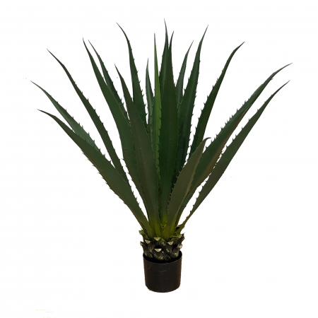 Plante decorative - Planta artificiala Agawa Americana 100cm