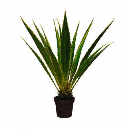 Plante decorative - Planta artificiala Agawa Americana 120cm