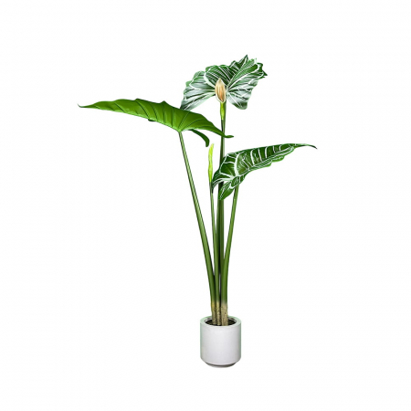 Plante decorative - Planta artificiala Alokazja 140cm