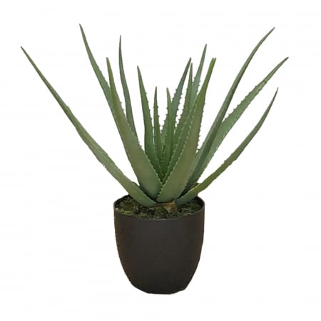 Plante decorative - Plantă artificială în ghiveci Aloe 58 cm