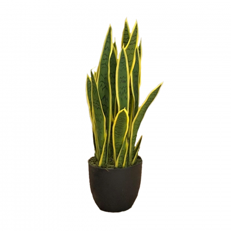 Plante decorative - Planta artificiala Sansevieria Laurentii 65cm