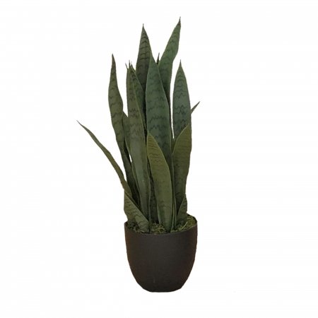 Plante decorative - Planta artificiala Sansewieria Zelenica 65cm