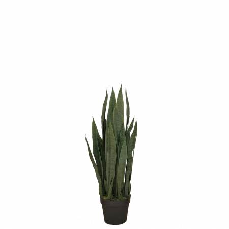 Planta artificiala Sansewieria Zelenica 90cm [1]
