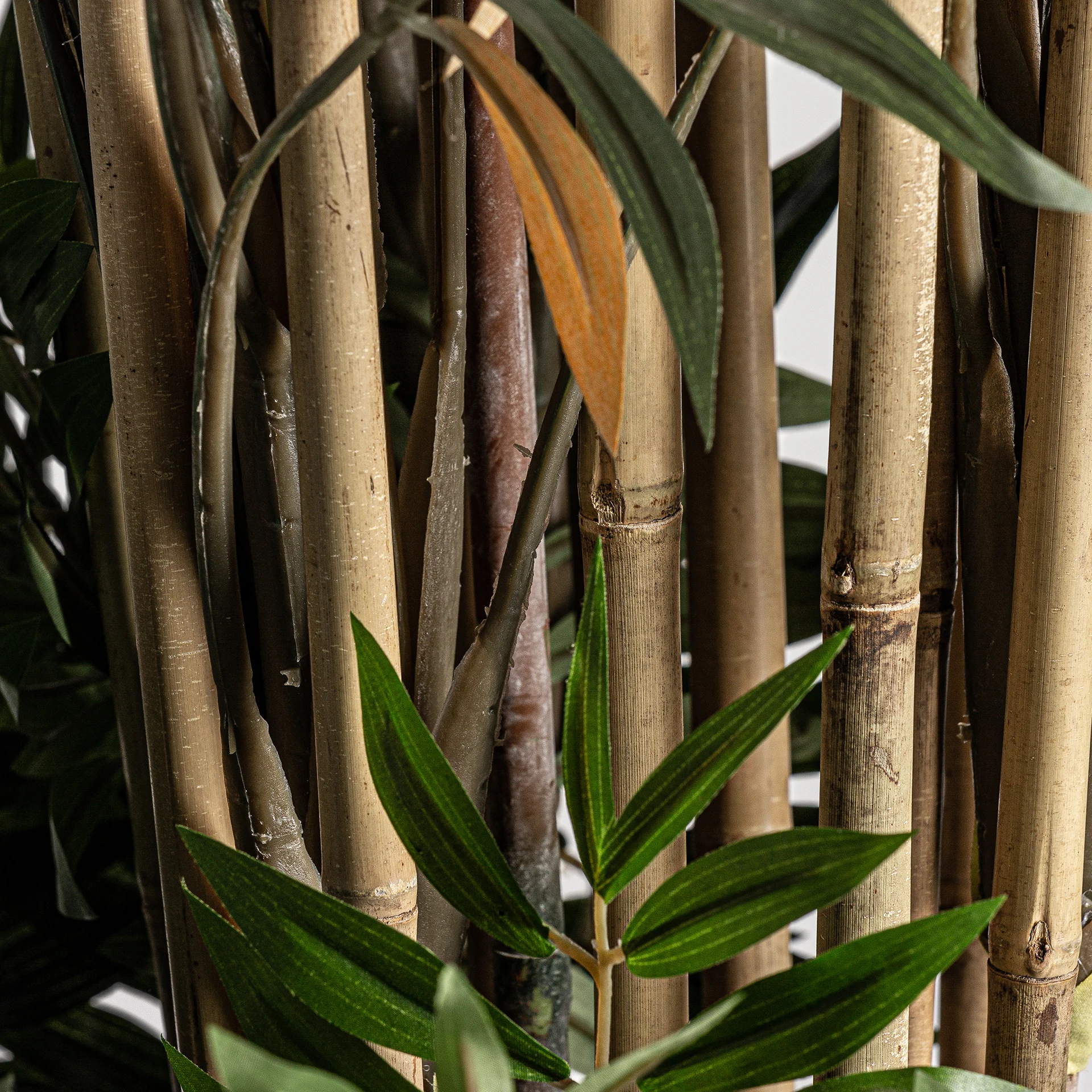 PLANTA BAMBU VicalHome 24317 [3]