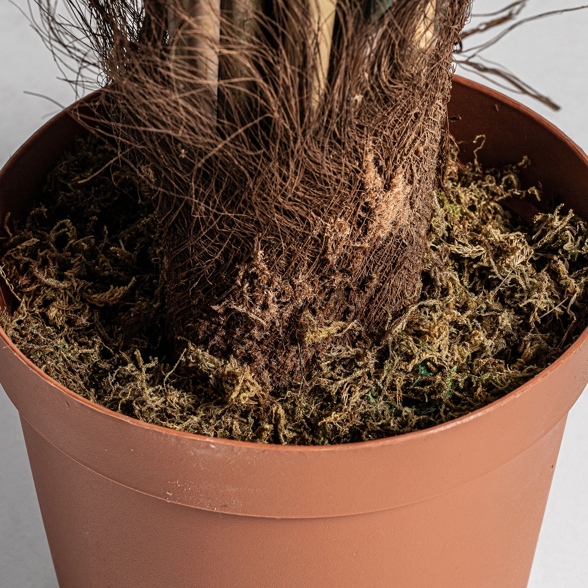 PLANTA BAMBU VicalHome 24317 [1]