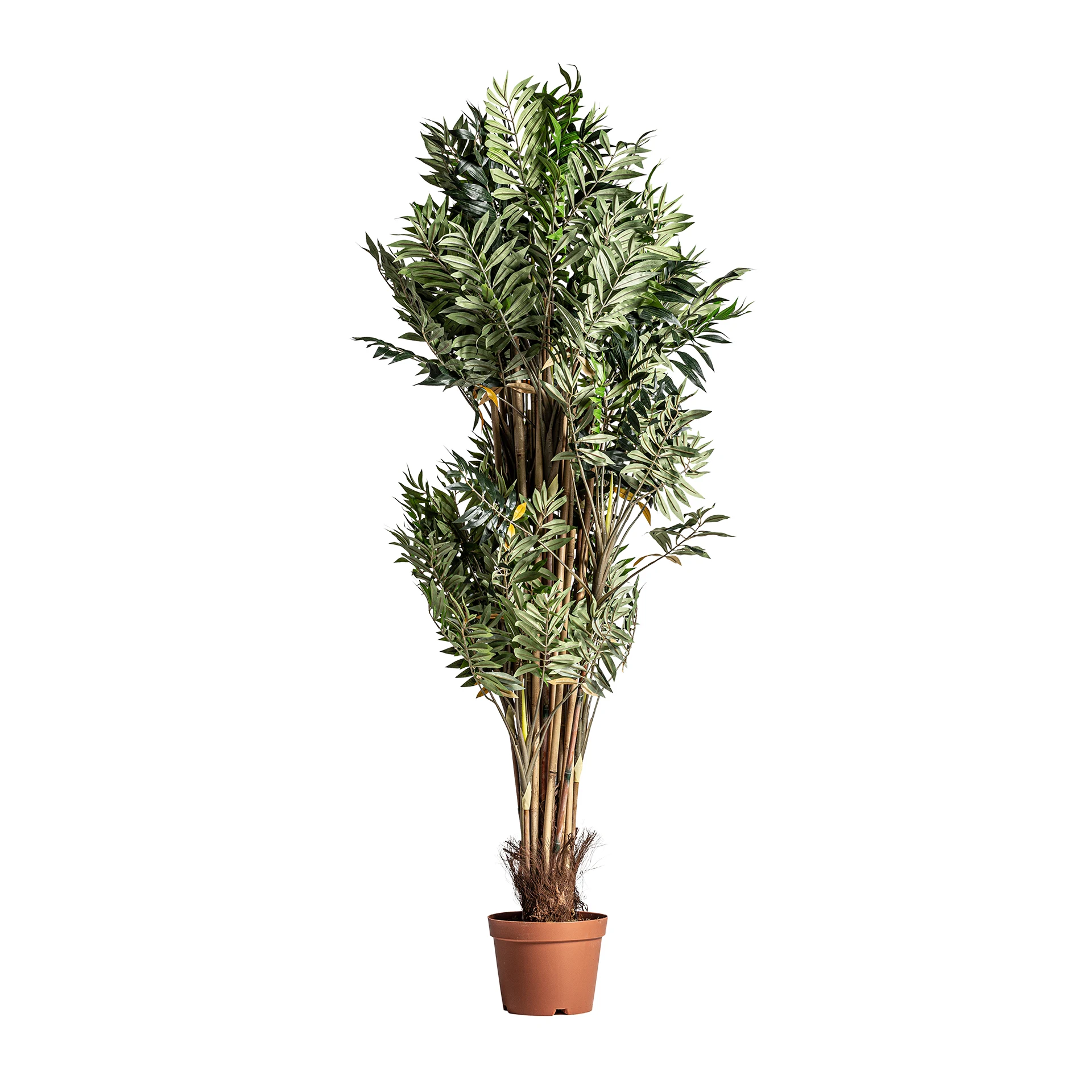 Produse - PLANTA BAMBU VicalHome 24317